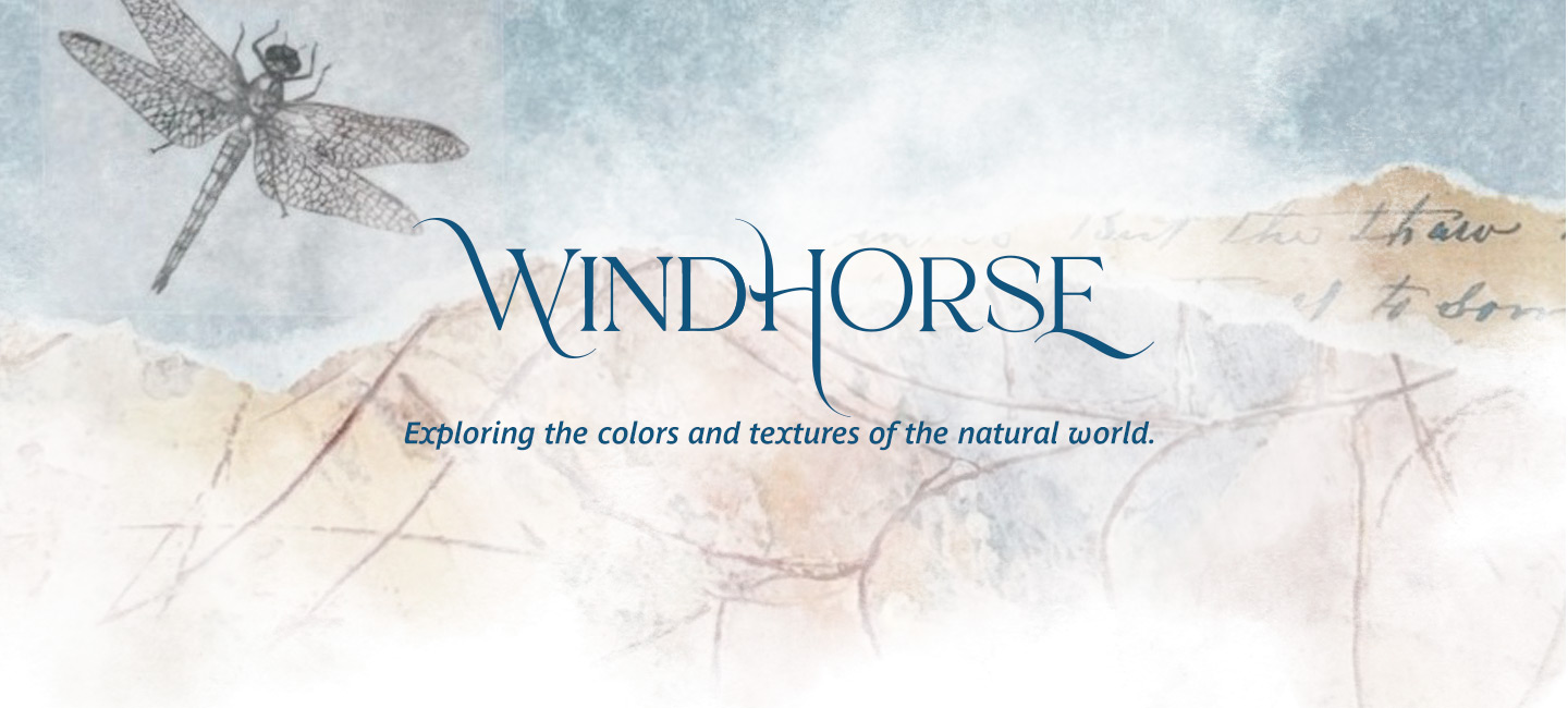 Wind Horse Creativity